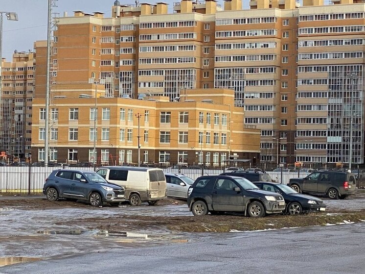 В Янино-1 автолюбители самовольно превратили газон в парковку