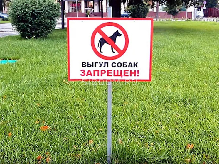 В Ярославле Ямамы просят не пускать в парки Ясобаководов