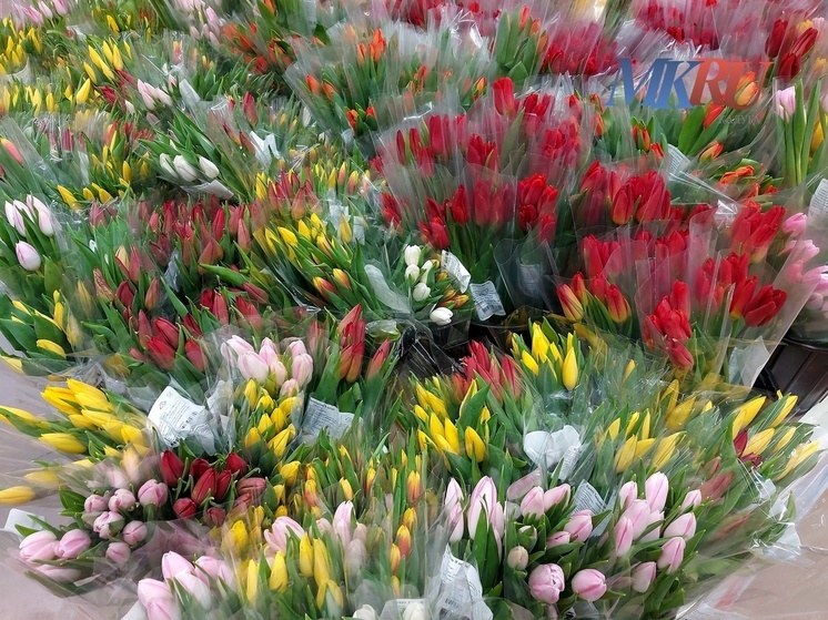 Калужане начали стоять в очередях за тюльпанами