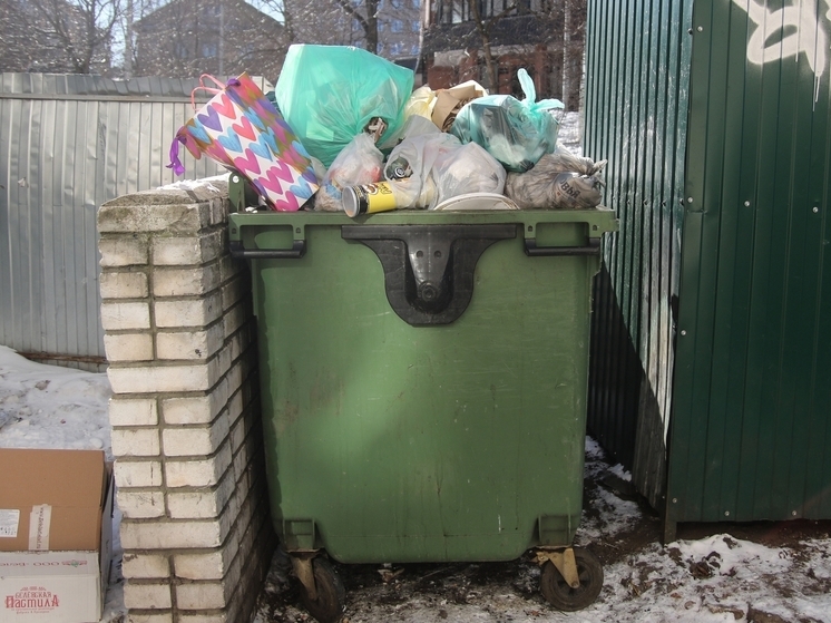В Кондопожском районе проведут дератизацию