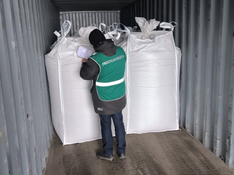 Крупная партия гороха выращенного на полях Чувашии отправляется в Китай