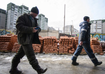 Росстат зафиксировал рекордный миграционный прирост: в 2024 году он составил 568,5 тыс