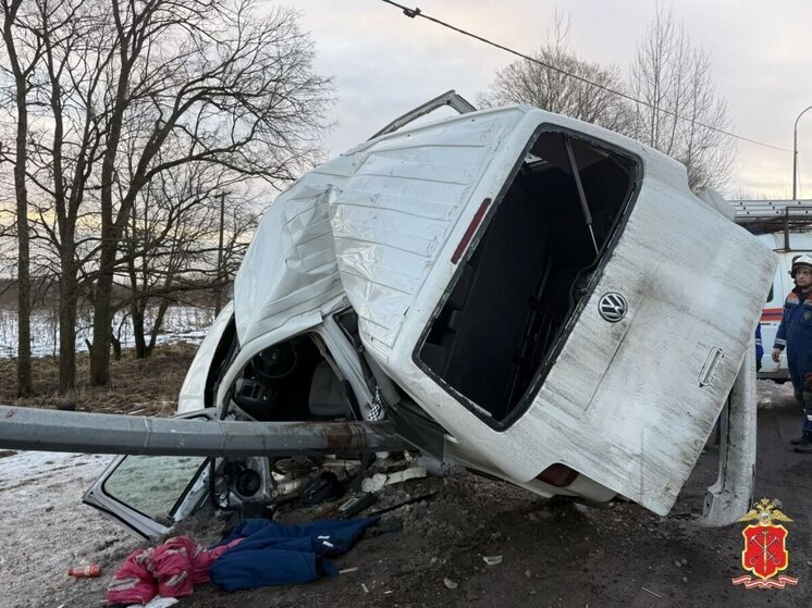 В Тосненском районе против водителя микроавтобуса возбудили уголовное дело