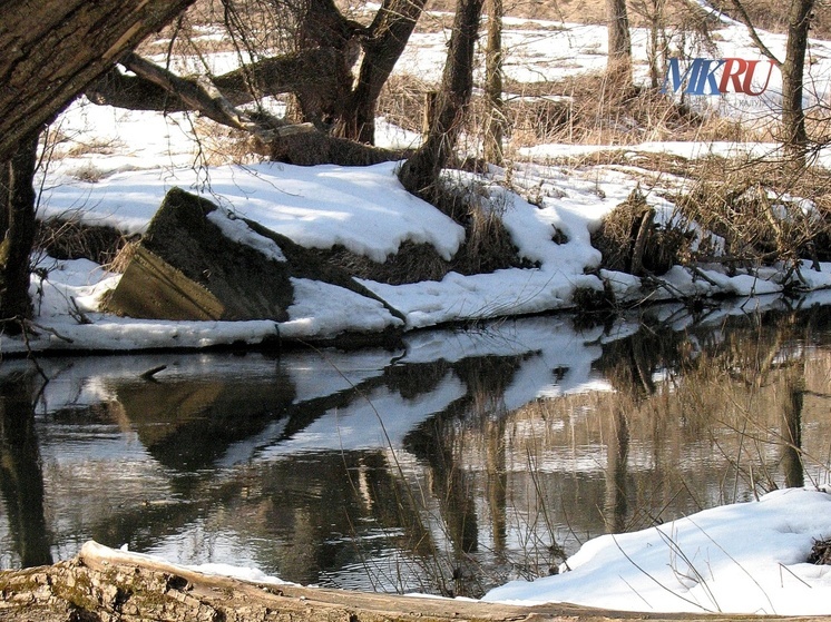 В Калужской области очищают Лужу и Каменку