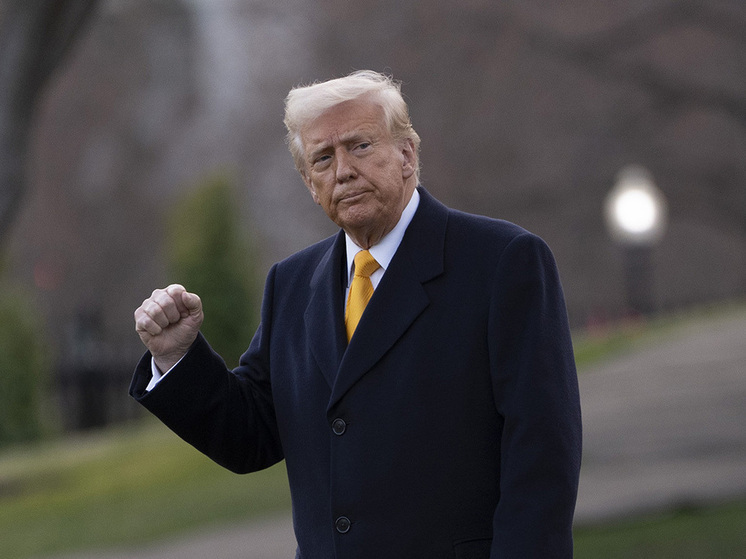 Политстратег Карвилл: дни Трампа в США сочтены