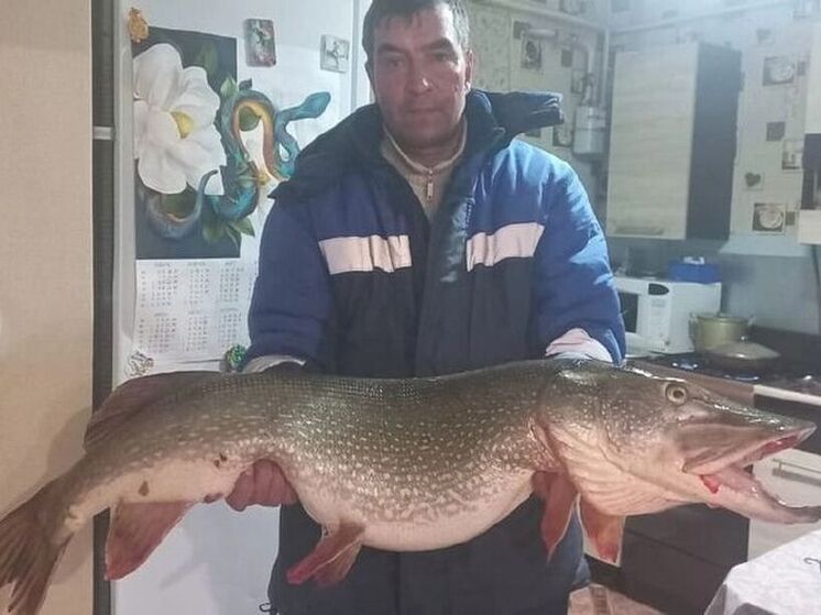 Житель Башкирии поймал щуку весом 14 кг