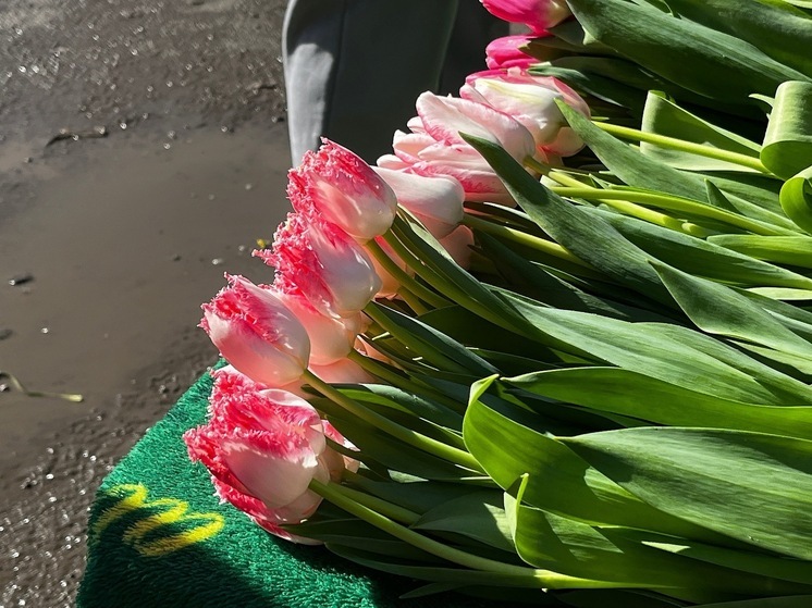 В Саратове начался цветочный ажиотаж