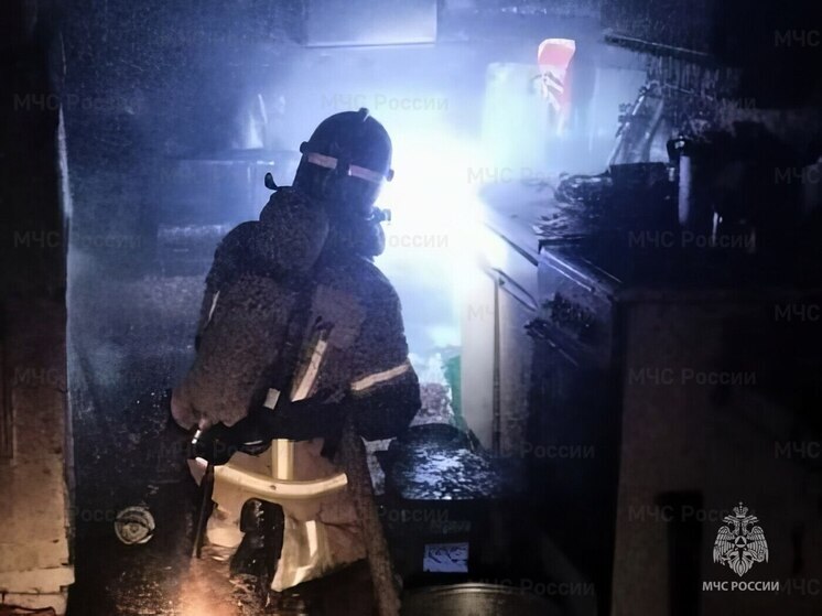 За минувшие сутки МЧС Чувашии зафиксировал в республике два пожара