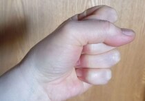 В январе этого года в Борковской средней школе подрались два шестиклассника