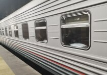 Возможность купить ребенку билет за половину стоимости для многих новгородцев – серьезное подспорье