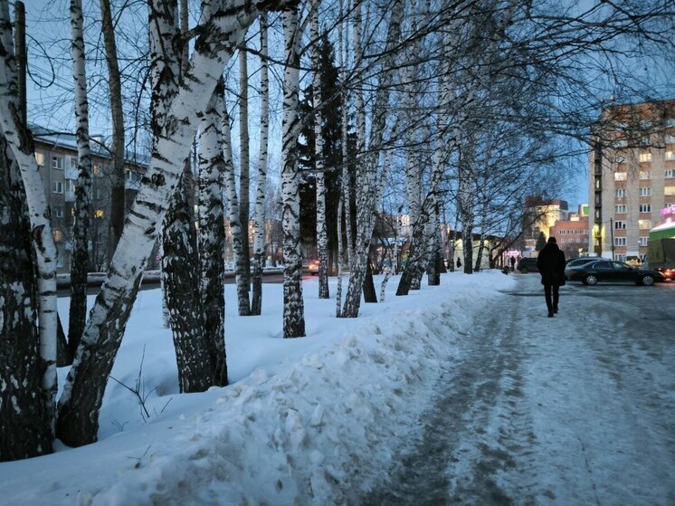 В Томске 9 марта воздух погреется до -2 градусов