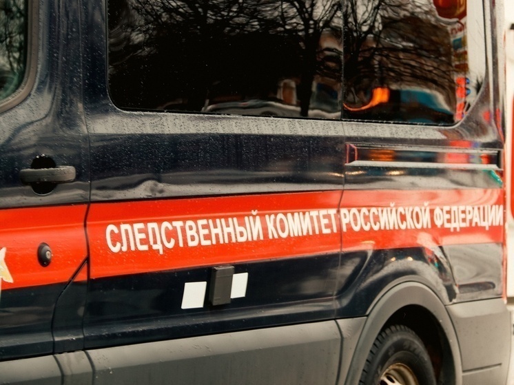 Бастрыкин поручил возбудить дело после жалобы на аварийный дом в Тверской области