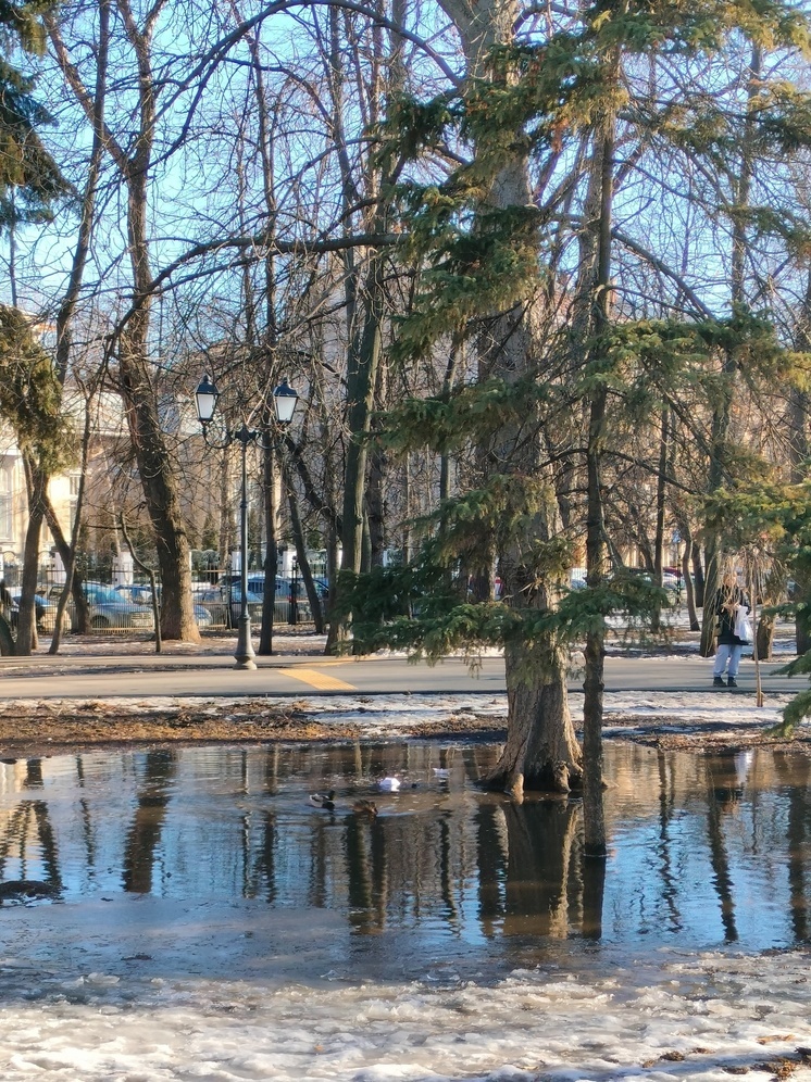 Теплый мартовский день порадует жителей Саратова