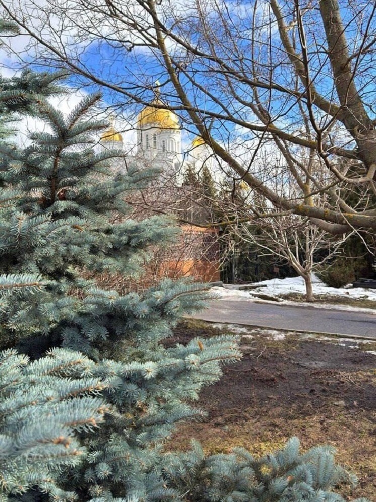 Весна продолжит радовать нижегородцев теплой погодой