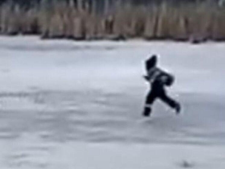 Ребенка заметили одного на льду пруда в подмосковном Одинцово