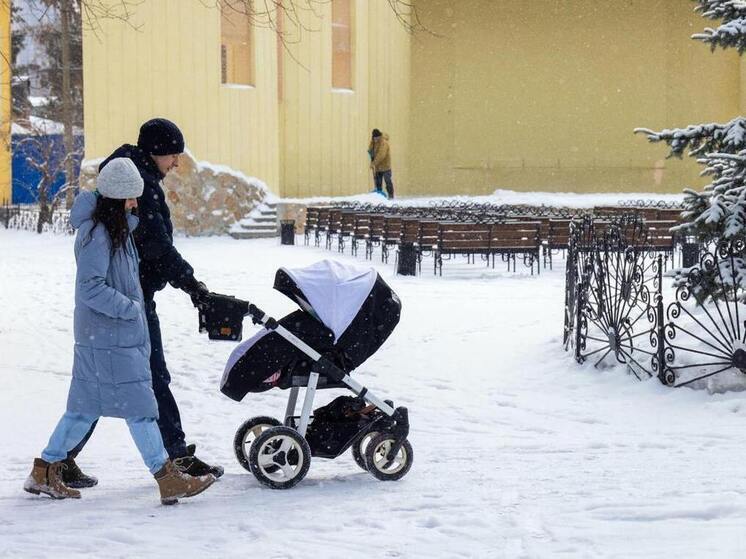 Рабочая неделя на Южном Урале начнется с мокрого снега