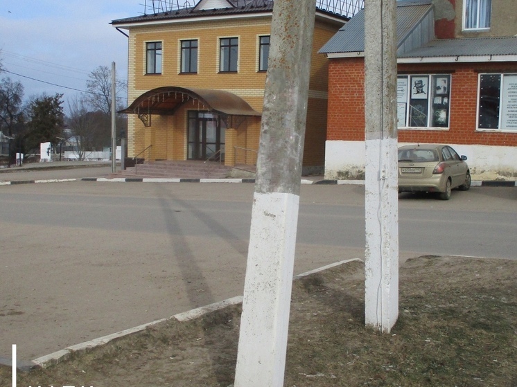 В Мещовске со столбов убрали незаконные листовки