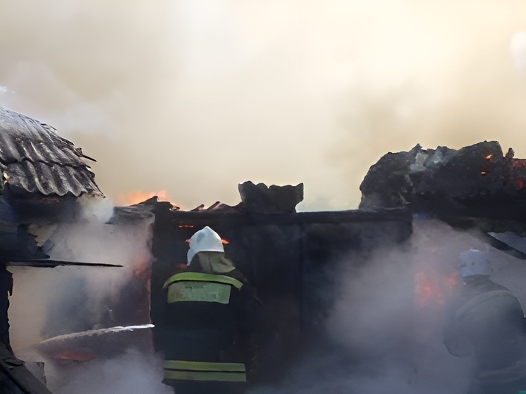 Пожар в Таловском районе Воронежской области повредил надворную постройку