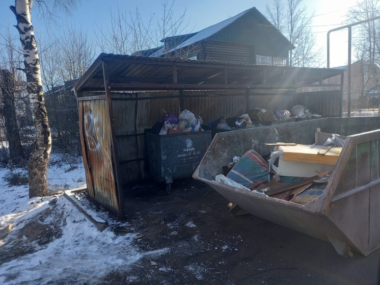 В Киржаче управляющую компанию привлекли к ответственности за свалки