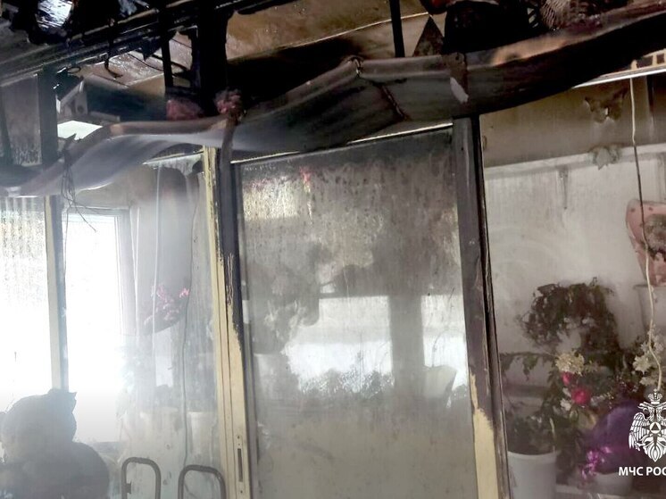 Цветы и мусор: огнеборцы справились с тремя пожарами в Томской области