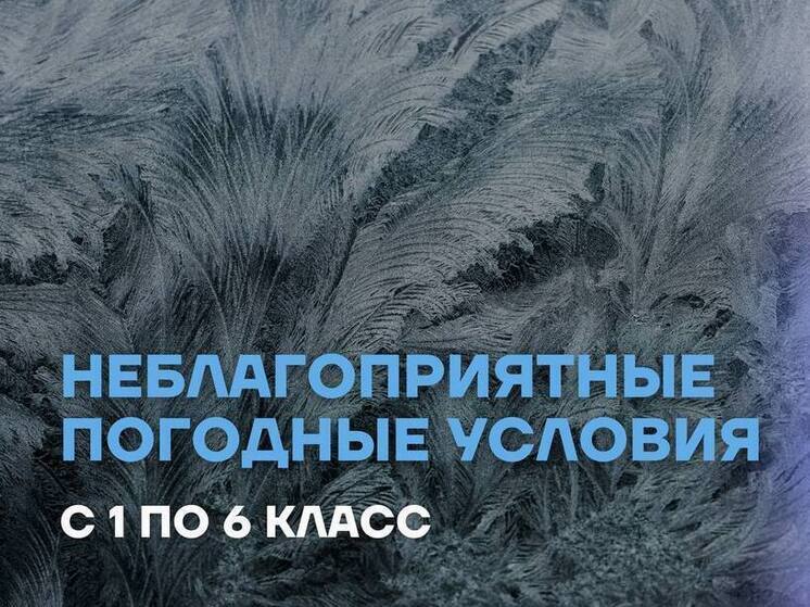 Школьникам Салехарда и Нового Уренгоя разрешили остаться дома из-за мороза