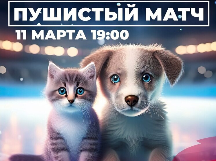 Ямальцы помогут бездомным животным на «пушистом» хоккейном матче в Салехарде