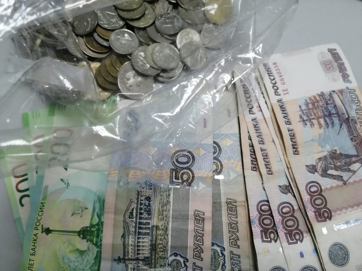 Оренбуржцы собрали 19 тысяч монет для памятника ВОВ в Москве