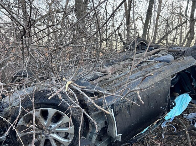 Два человека погибли под Воронежем в страшном ДТП