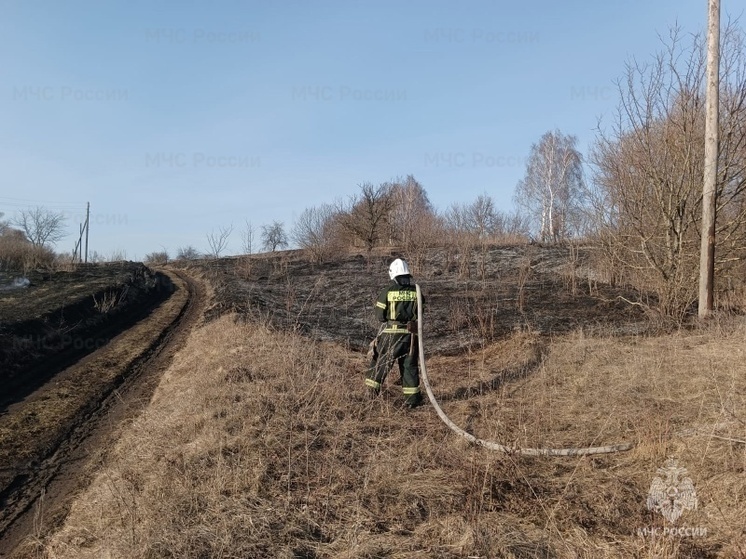 На Орловщине начали фиксировать горение сухой травы