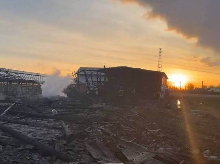 После трагедии в округе Чехов возбудили уголовное дело