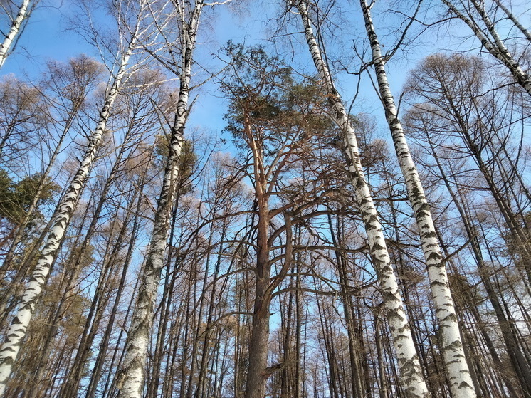 11 марта православные отметят день памяти святого Порфирия Газского