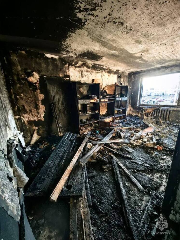 Нарушение правил пожарной безопасности привело к пожару в Новосокольническом районе