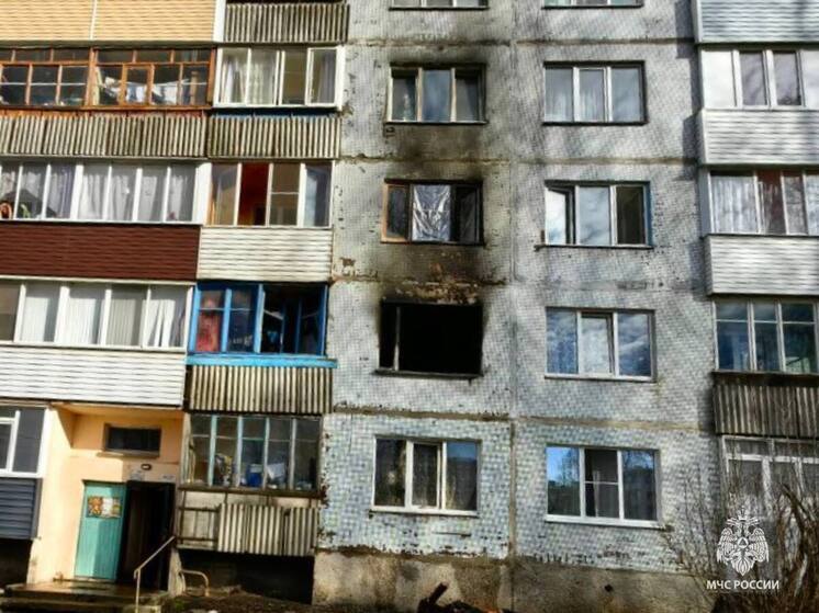 Хозяйственная постройка загорелась в Порховском округе