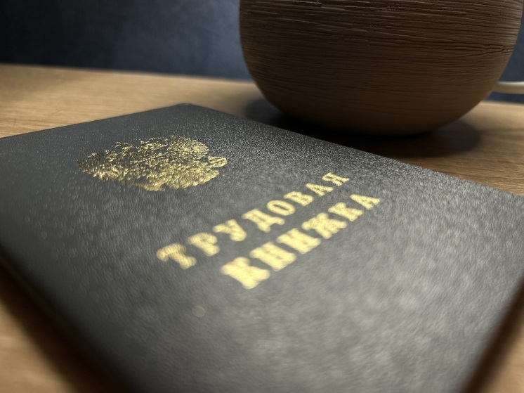 Тестировщики в Мурманске охотнее всех проходили тестовые задания при трудоустройстве