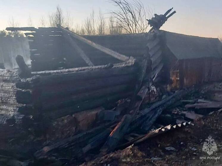 Нежилой дом загорелся в Опочецком округе