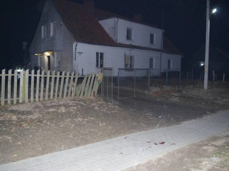 Житель Правдинского района пытался зарезать кинувшегося на помощь тете подростка