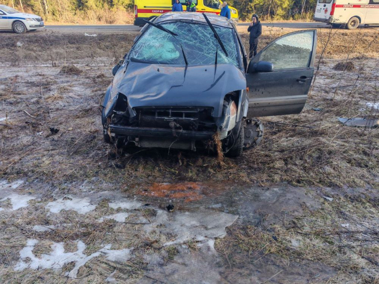 Во Владимирской области произошло 353 ДТП за неделю