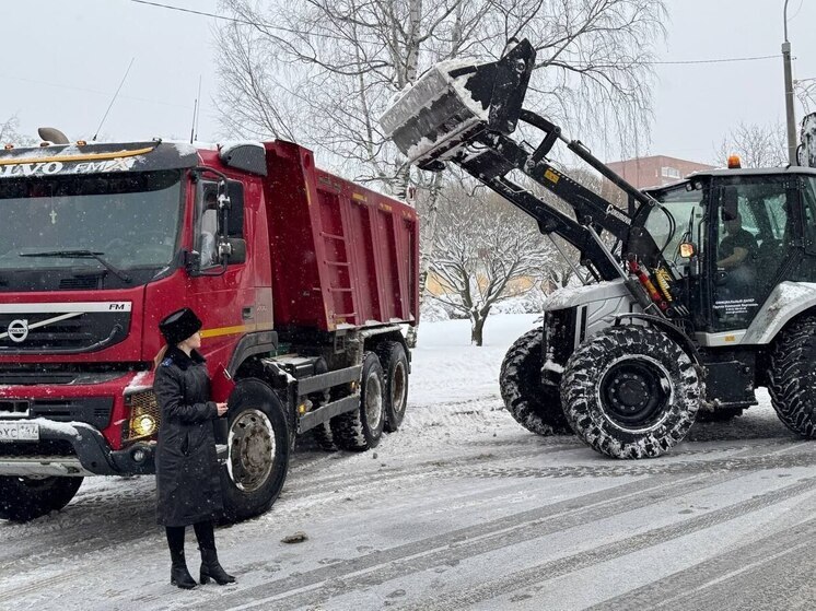 В Сосновом Бору вынесли предупреждение виновным в плохой уборке снега зимой