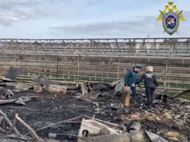 Установили личности погибших во время пожара в округе Чехов