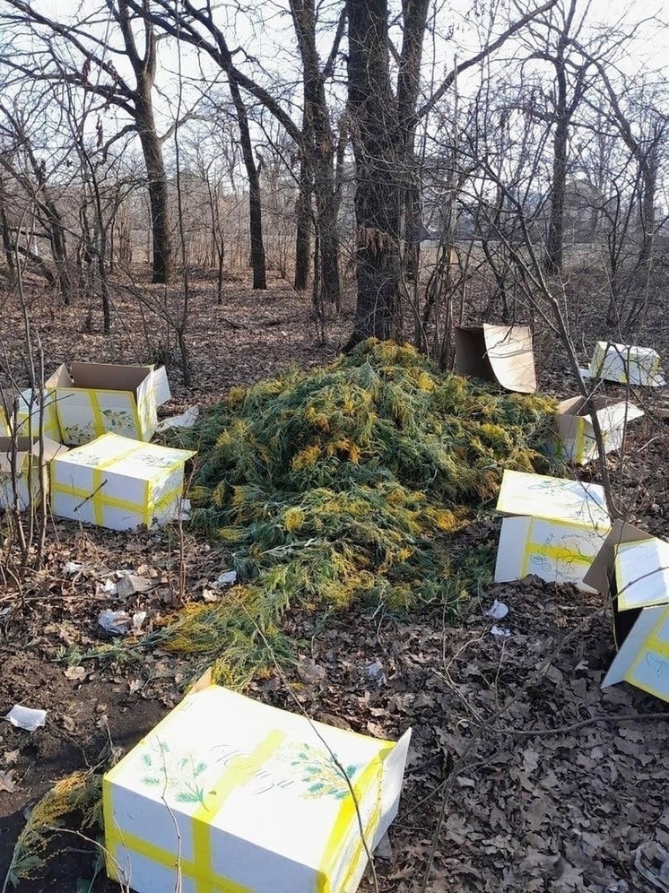 После 8 Марта на улице Антокольского образовалась свалка из выброшенных мимоз