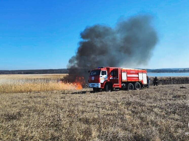 Более сотни природных пожаров ликвидировано в ЛНР