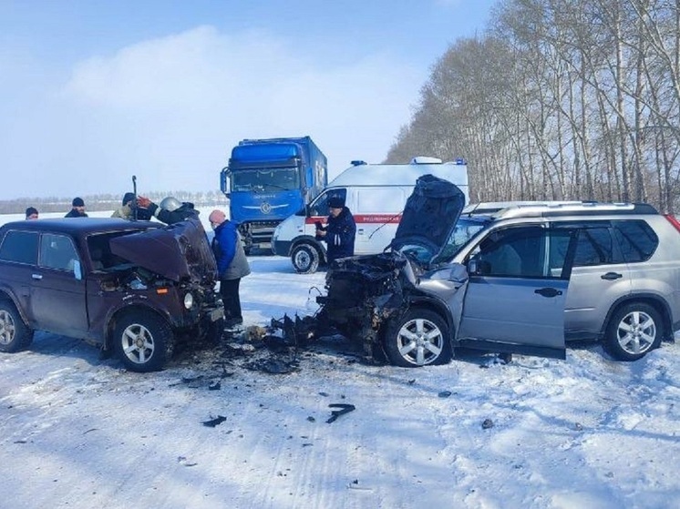 Смертельный обгон: в Алтайском крае 73-летний водитель погиб после столкновения с легковушкой