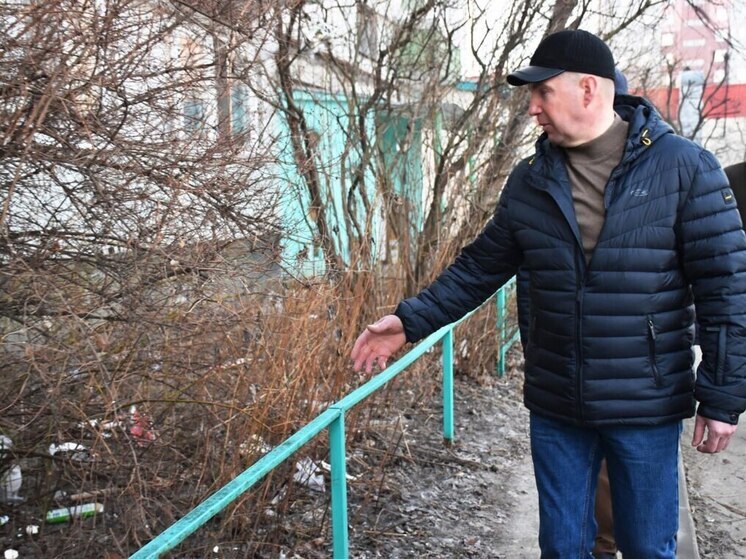 Глава Пензы Олег Денисов поручил ежедневно контролировать уборку города