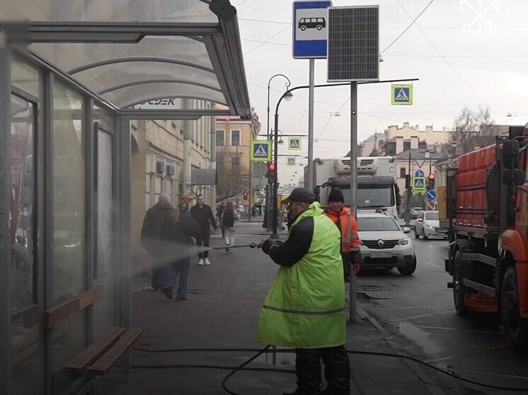 За неделю петербургские дорожники помыли свыше 700 остановок