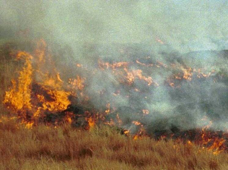 Сезон пала травы уже начался в округе Луховицы