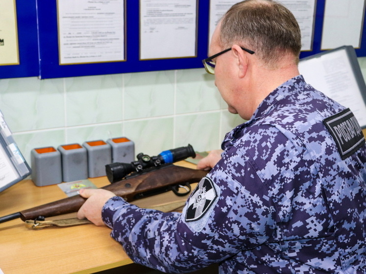 За прошедший месяц сотрудники лицензионно-разрешительной работы Росгвардии проверили более 270 владельцев оружия в Марий Эл