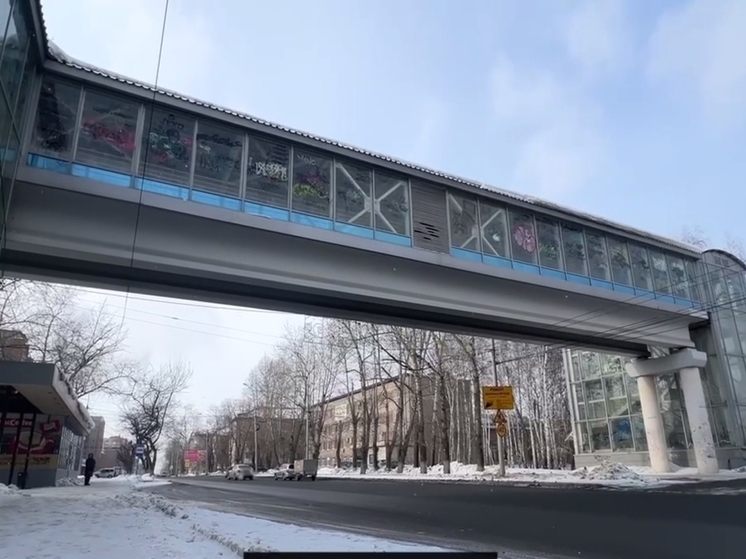 Надземные переходы в Томске ждет преображение