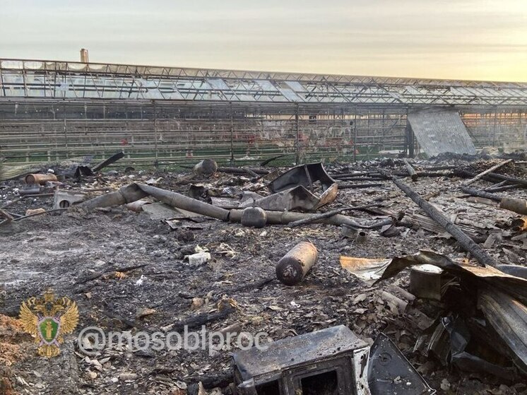 Во время пожара в округе Чехов погибли рабочие из Китая