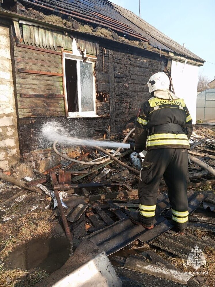 В Орловском МО пожарные спасли из горящего дома кошку