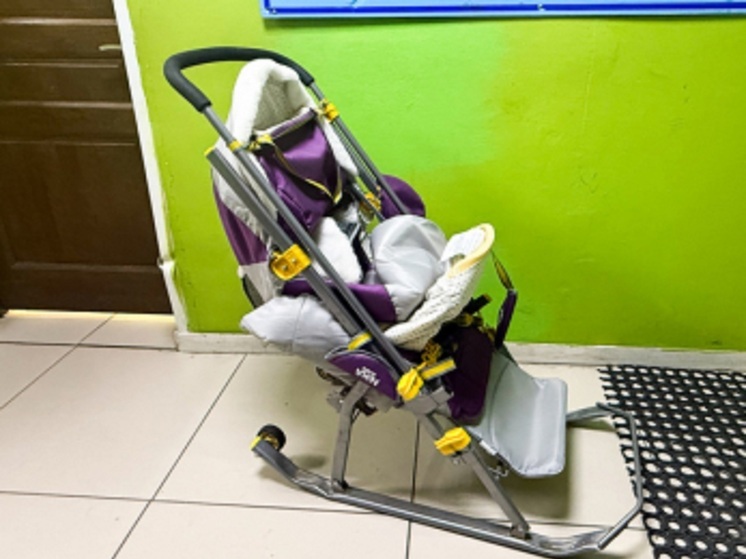 Полисмены НАО озадачились поиском владельцев серо-фиолетовых санок